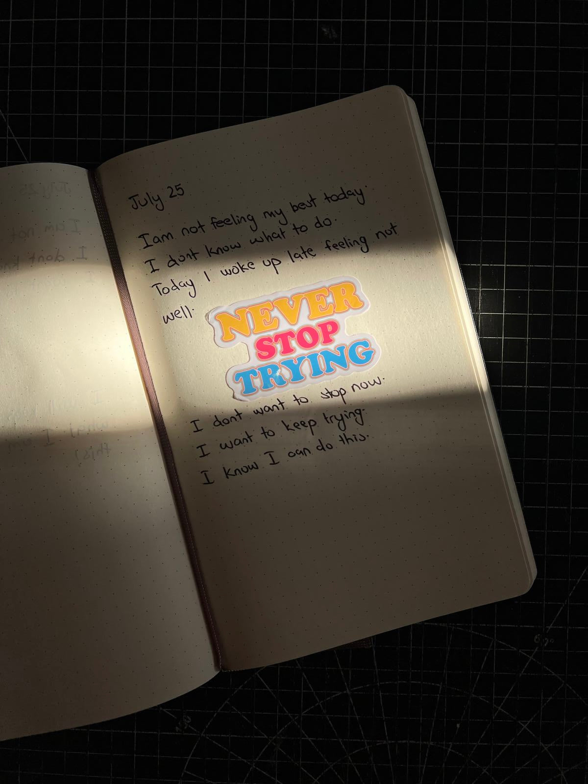 Never Stop Trying Sticker